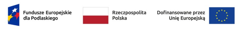 ogloszenie-o-zamowieniu-na-dostawe-pojazdu-dostosowanego-do-transportu-osob-z-niepelnosprawnoscia